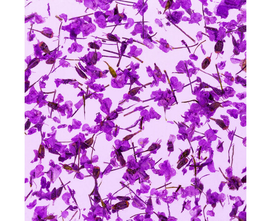 Зображення 3 Гель з сухоцвітом Kodi Flower Gel 08, 4 мл, Об'єм (мл, г): 4, Колір: 008