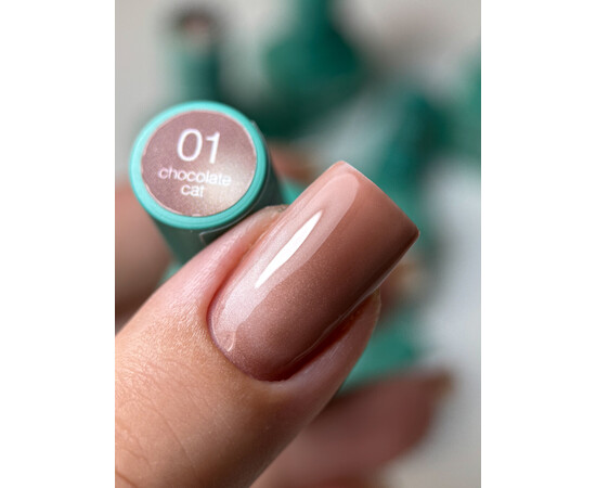 Зображення 4 Гель-лак для нігтів Siller Chocolate Cat 01, 8 мл, Об'єм (мл, г): 8, Колір: 01